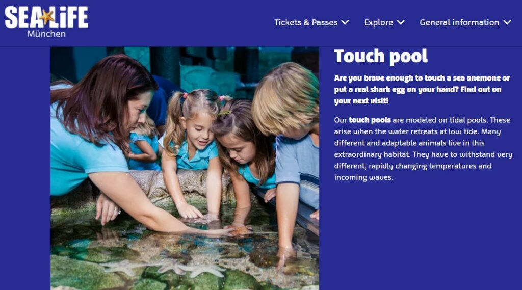 Photograph of children experiencing the touch pool at Sea Life aquarium in Munich