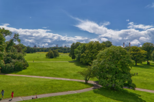 Photo of the English Garden’s green spaces offering perfect picnic spots in Munich