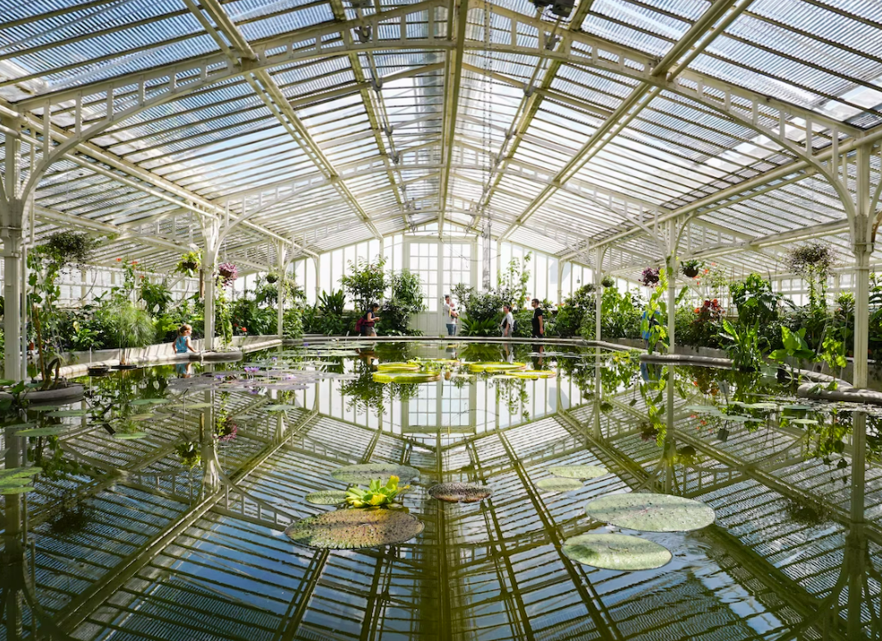 Photo of an interior greenhouse in the Munich’s Botanical Garden
