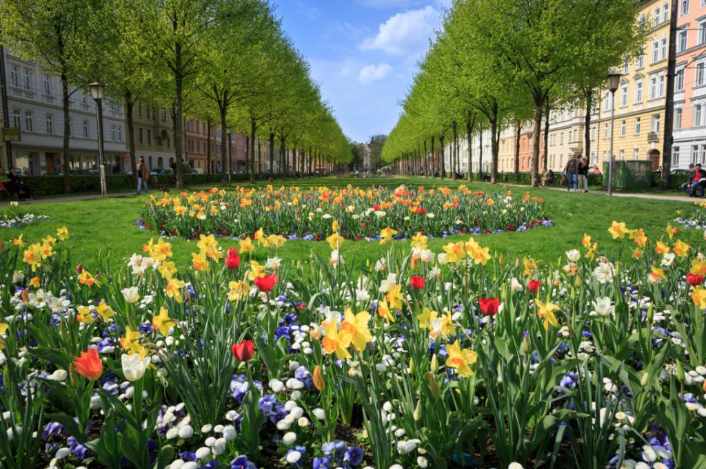 photo of colourful flowers in the square Bordeauxplatz in Munich, Germany