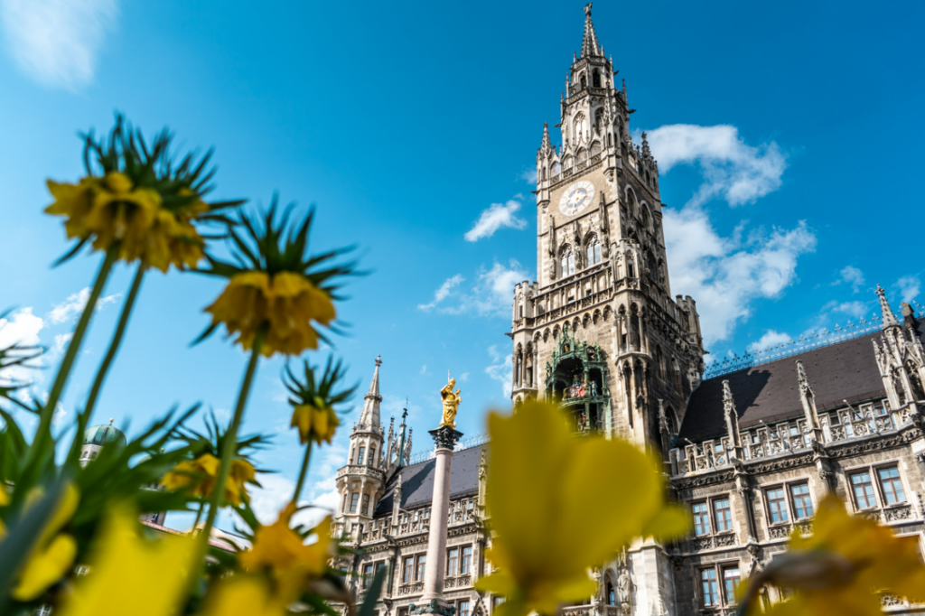 photo of flowers in front of the famous Marienplatz during springtime in Munich