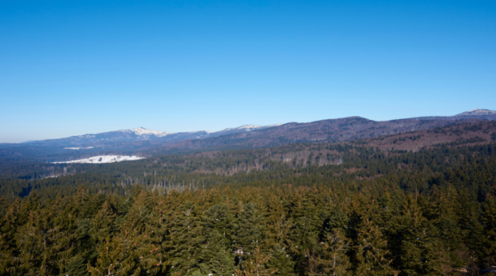 photo of the Bavarian Forest National Park from above